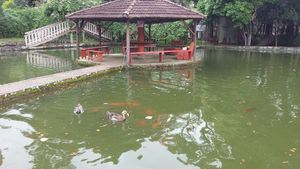 Image 26 - 159896
