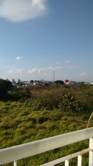 Image 9 - 159978