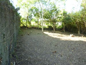 Image 4 - 160557