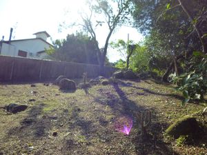 Image 2 - 160557
