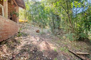 Image 35 - 160766