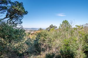 Image 37 - 160766
