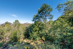 Image 39 - 160766
