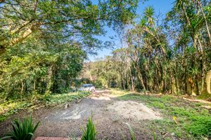 Image 41 - 160766