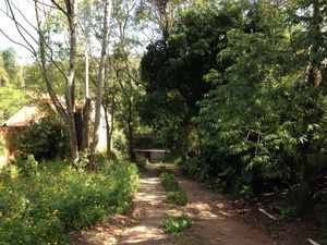 Image 10 - 160766