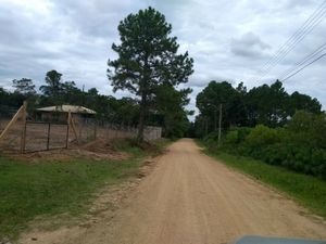Image 8 - 161149