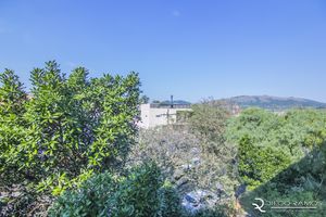 Image 5 - 161469