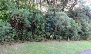 Image 15 - 161844