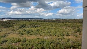 Image 1 - 162522