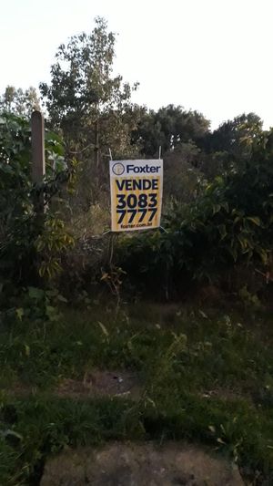 Image 7 - 162603