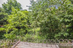 Image 12 - 163780