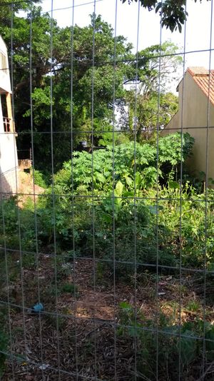 Image 1 - 163795