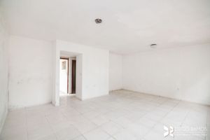 Image 16 - 164382