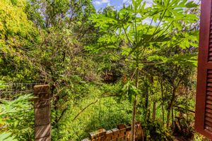 Image 66 - 164538