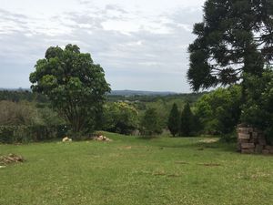 Image 4 - 164602