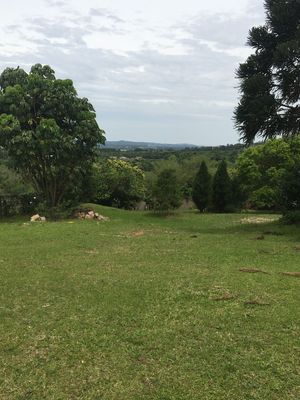 Image 7 - 164602