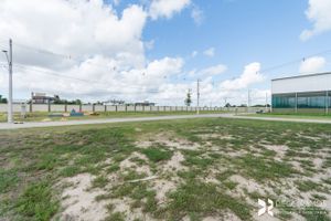 Image 8 - 164826