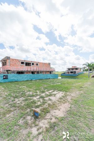 Image 17 - 164826