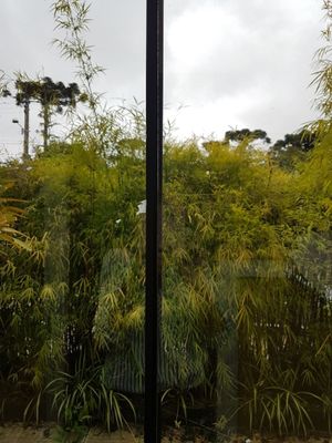 Image 10 - 165889