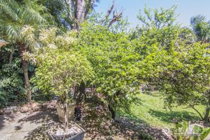 Image 6 - 166498