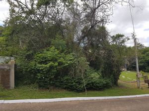 Image 0 - 166989
