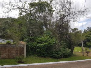 Image 2 - 166989
