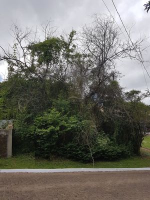 Image 3 - 166989