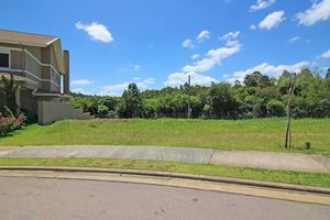 Image 5 - 167151