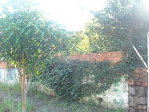 Image 4 - 167486