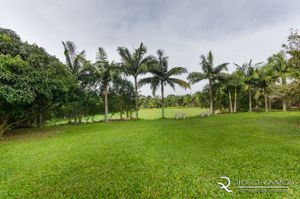 Image 19 - 1678