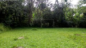 Image 31 - 168139