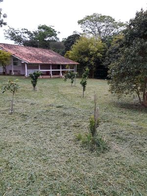 Image 28 - 168447
