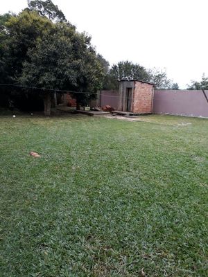 Image 27 - 168447