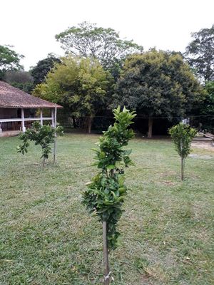Image 19 - 168447