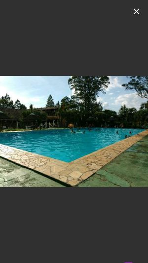 Image 11 - 168447
