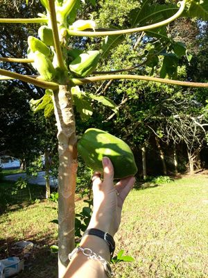 Image 10 - 168447