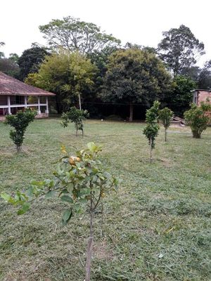 Image 8 - 168447