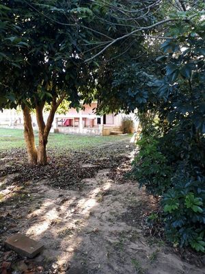 Image 7 - 168447