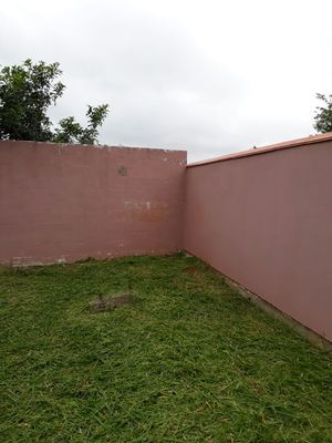 Image 5 - 168447