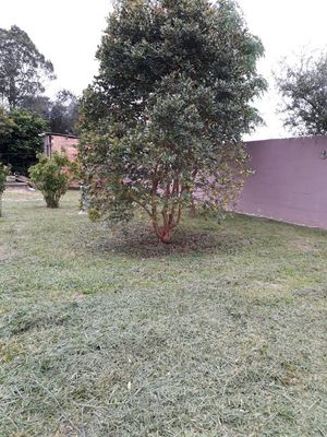 Image 3 - 168447
