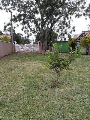 Image 1 - 168447