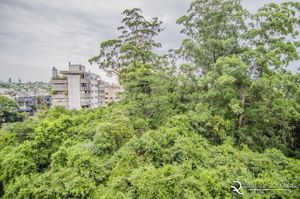 Image 11 - 168624