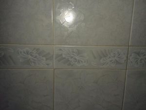 Image 6 - 168816