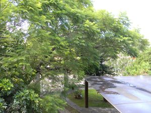 Image 36 - 168919