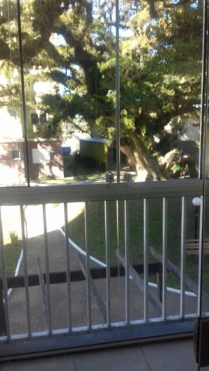 Image 7 - 169429