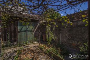 Image 35 - 169677
