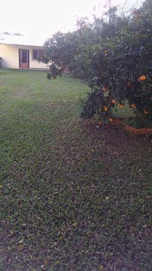 Image 8 - 169699