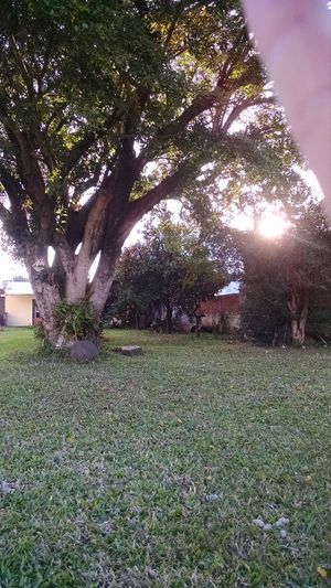 Image 10 - 169699