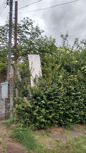 Image 4 - 169762
