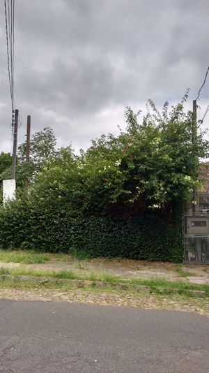 Image 3 - 169762